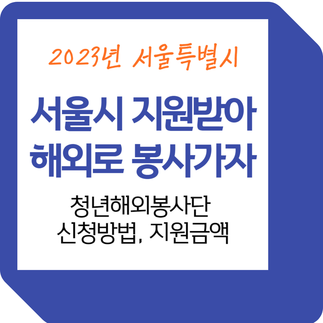 서울시 청년해외봉사단