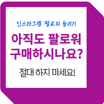 인스타그램 팔로워 구매